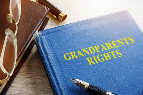 grandparents rights law book