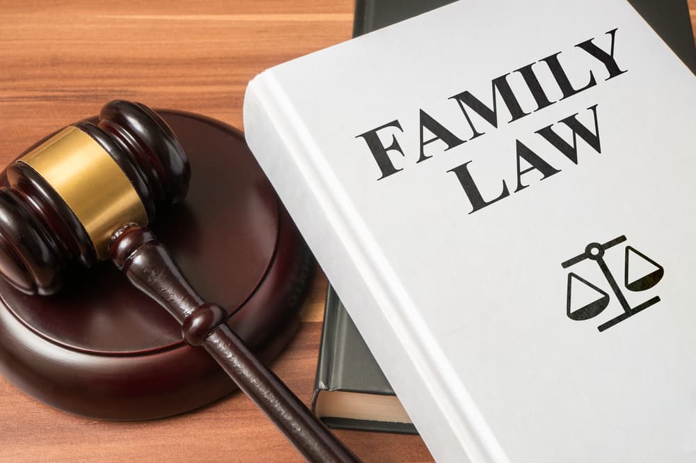 A family law book and gavel, alongside a consumer protection book and gavel, symbolizing the concepts of law, regulations, and legal protections.